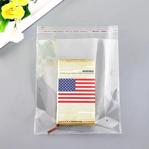 Disposable Plastic Valve Bag