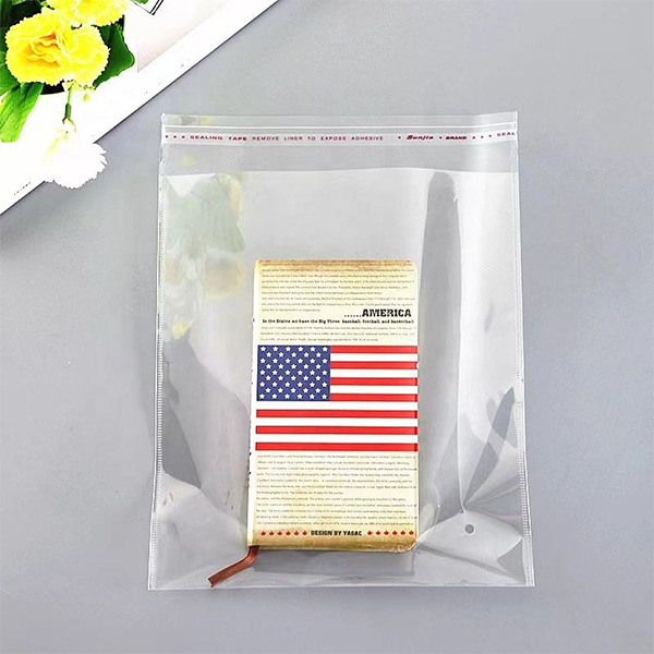 Disposable Plastic Valve Bag