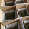 Wholesale 500 PCS Pant Strut Hangers 16 Inches