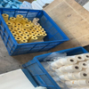 Paper Waterroof Roll